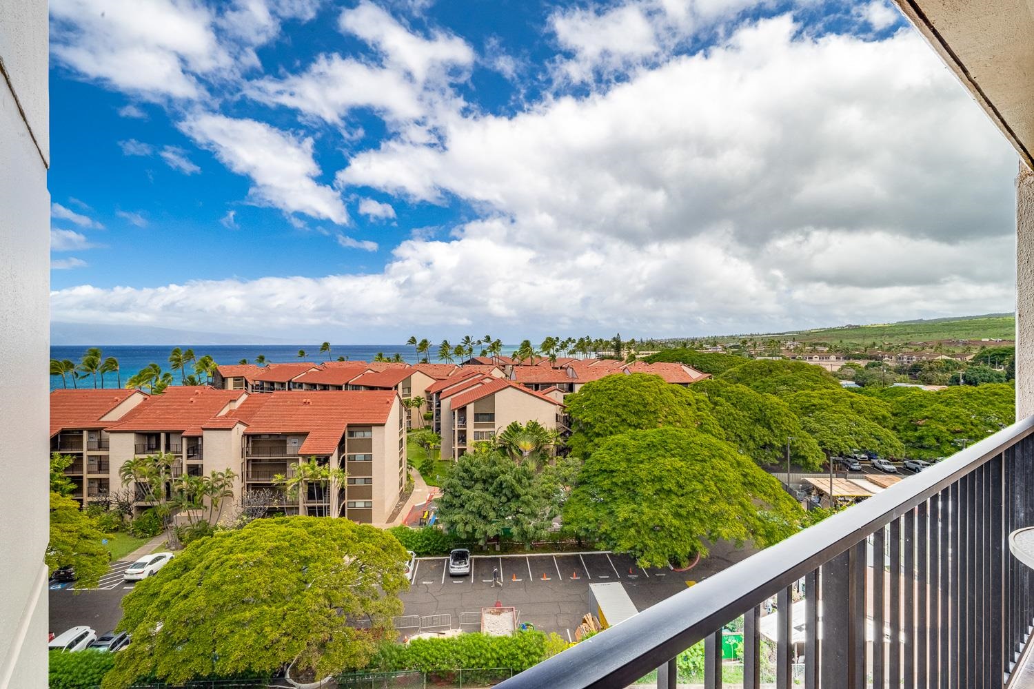 3445 Lower Honoapiilani Rd 836