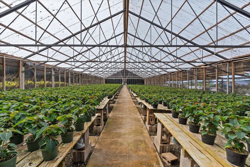 Photo of 248 Piliwale Rd, Kula, HI 96790 (MLS # 406880)