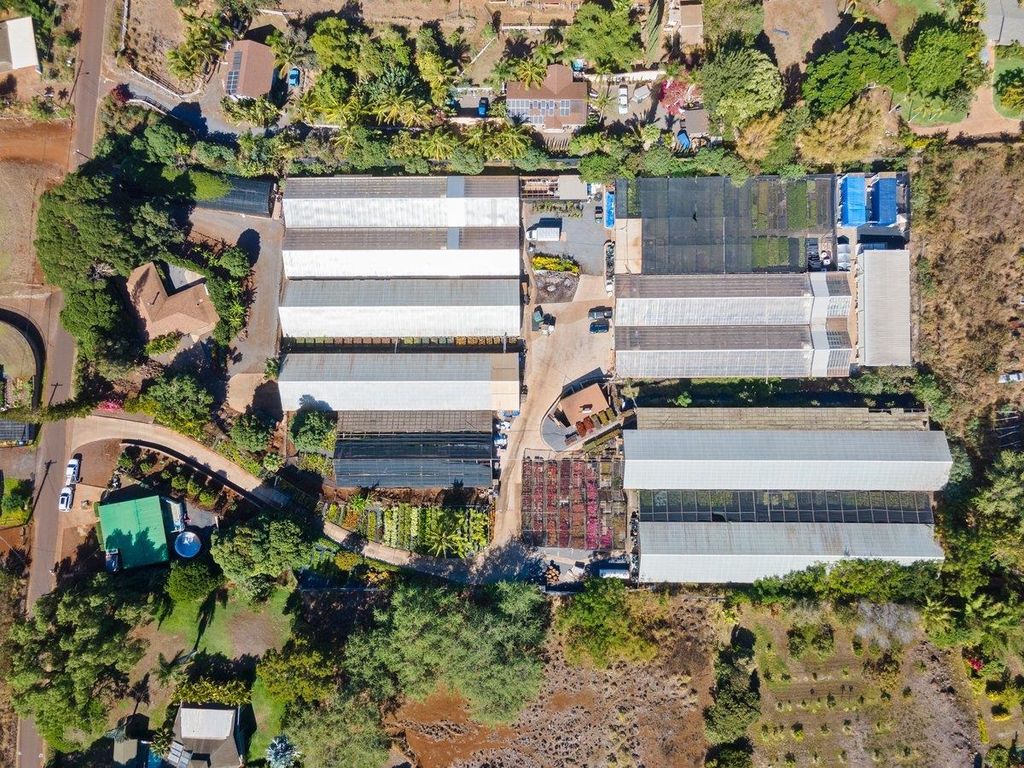 Photo of 248 Piliwale Rd, Kula, HI 96790 (MLS # 406880)