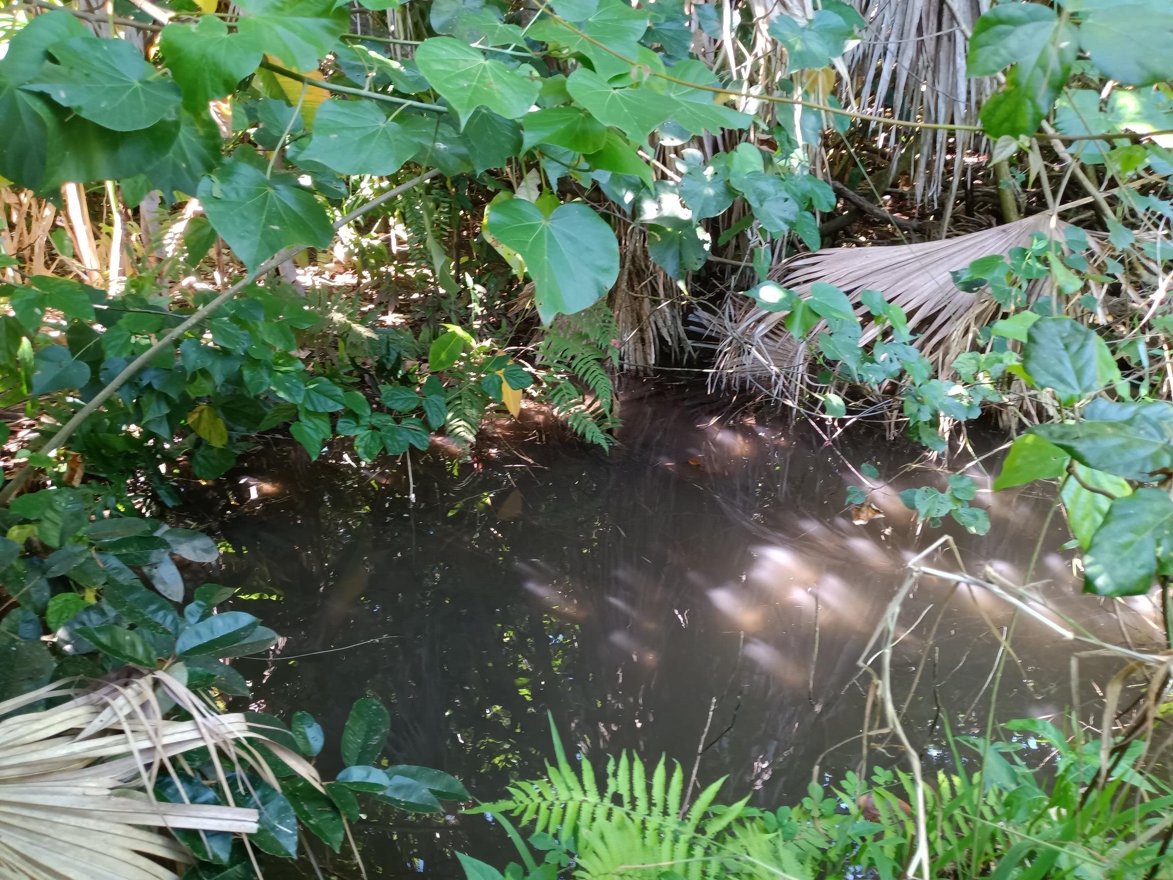 Keanae Rd Lot 8A