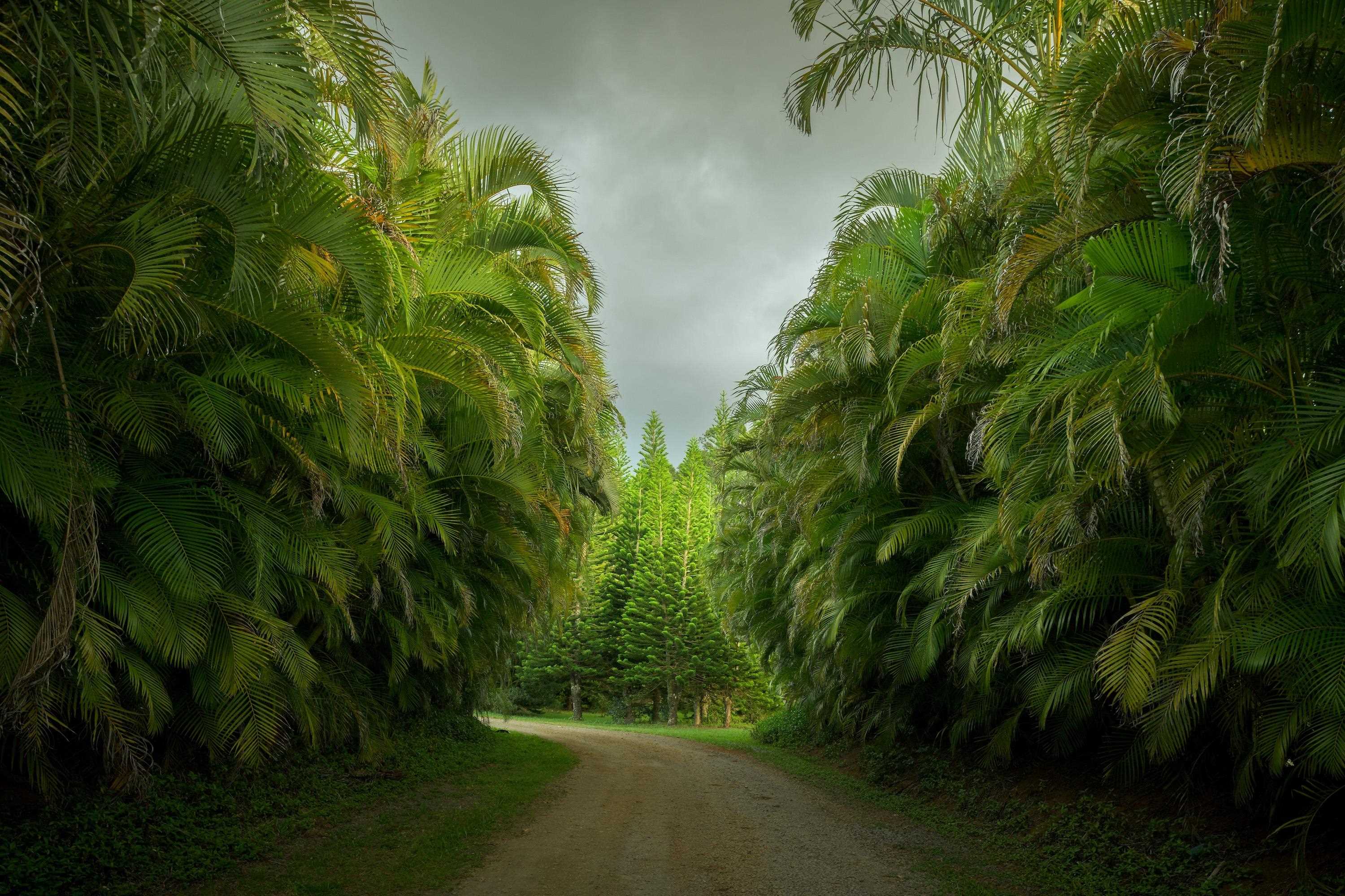 1949 W Kuiaha Rd