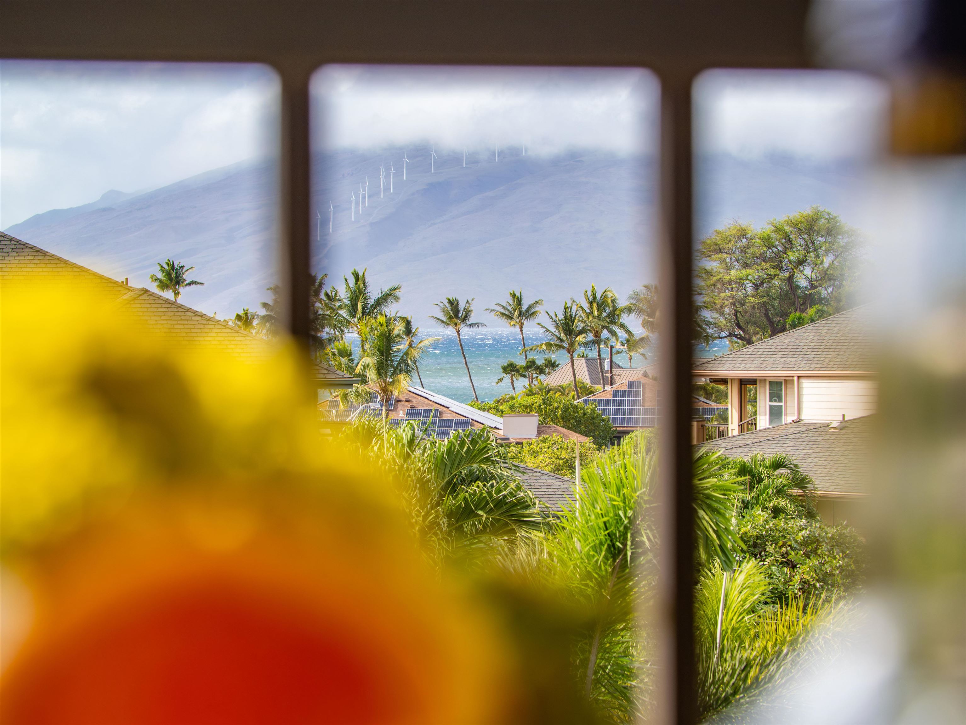 28 Hauwahine Ln F-203