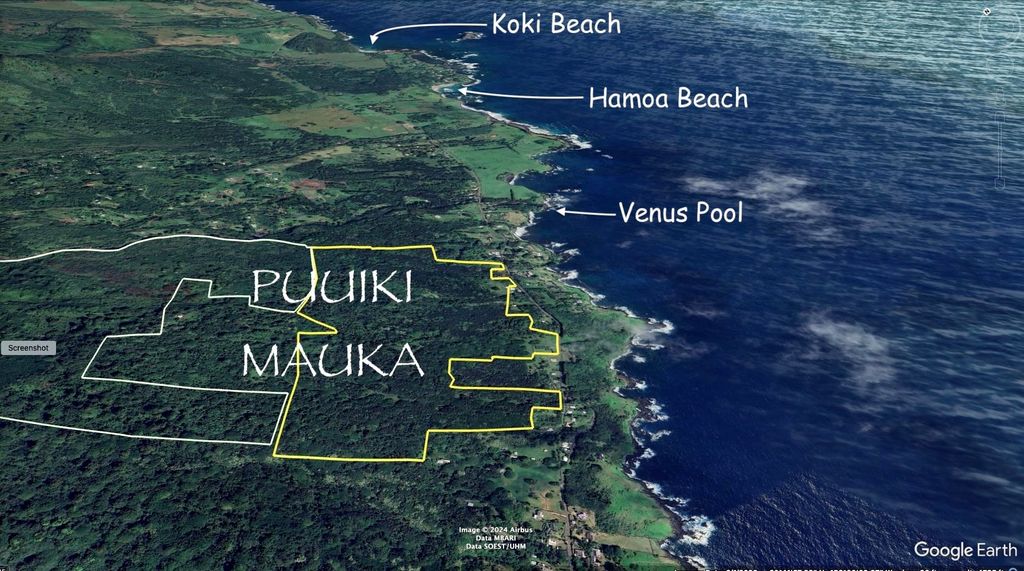 Photo of 0 Hana Hwy, Hana, HI 96713 (MLS # 405645)