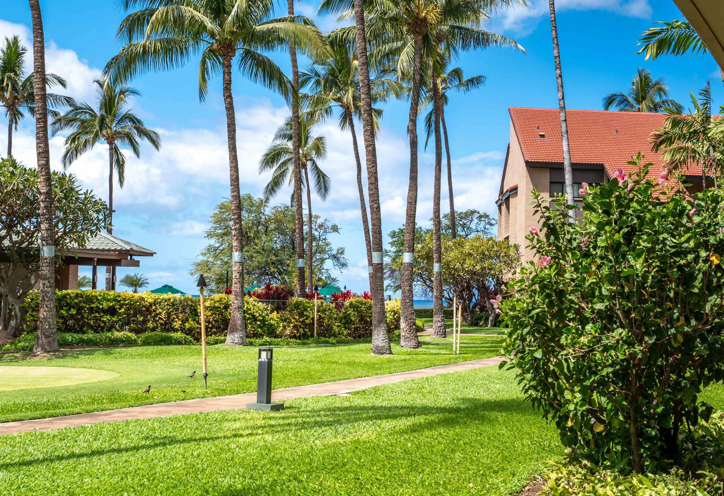 940 S Kihei Rd B-104