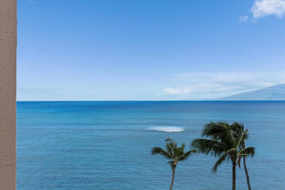 Lahaina, Hawaii 96761, United States, 1 Bedroom Bedrooms, ,1 BathroomBathrooms,Residential,Active,64067
