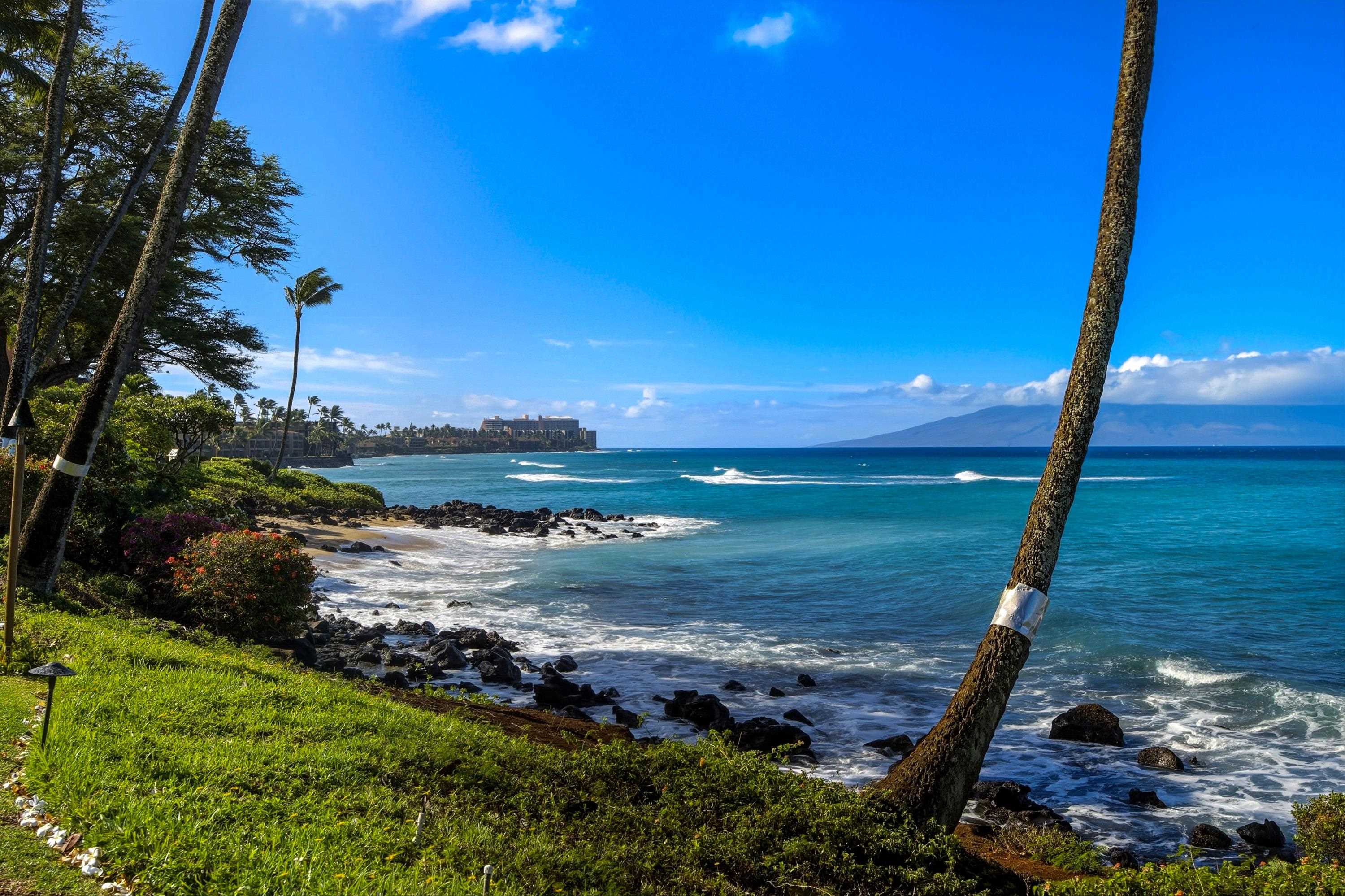 3975 Lower Honoapiilani Rd 114