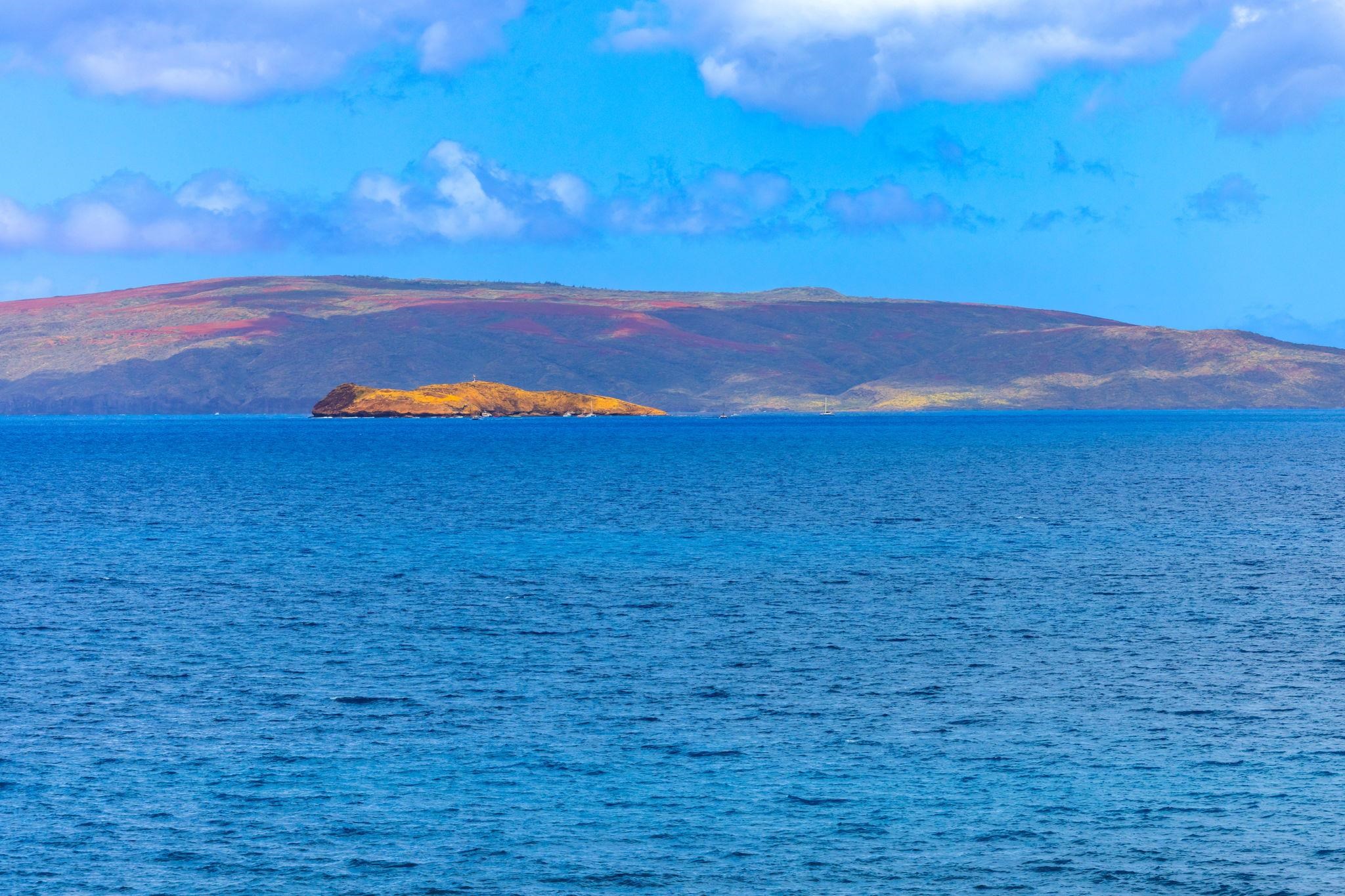 4000 Wailea Alanui Dr 1203