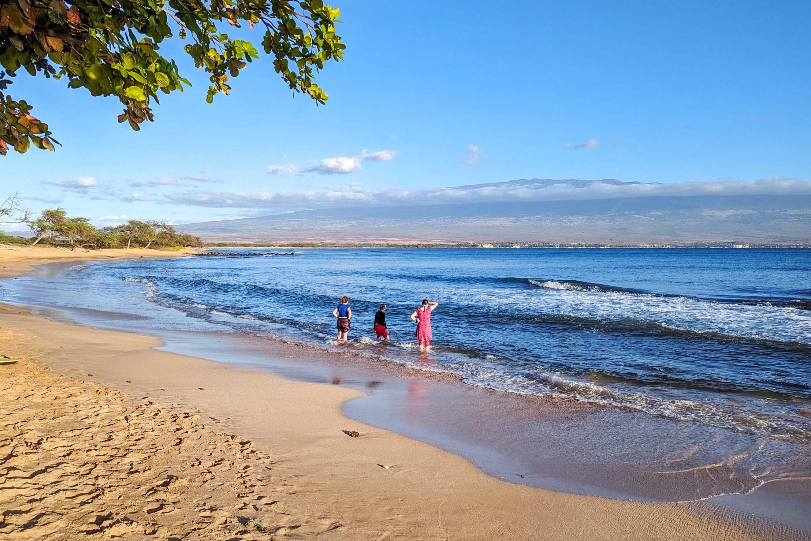 250 Hauoli St 314