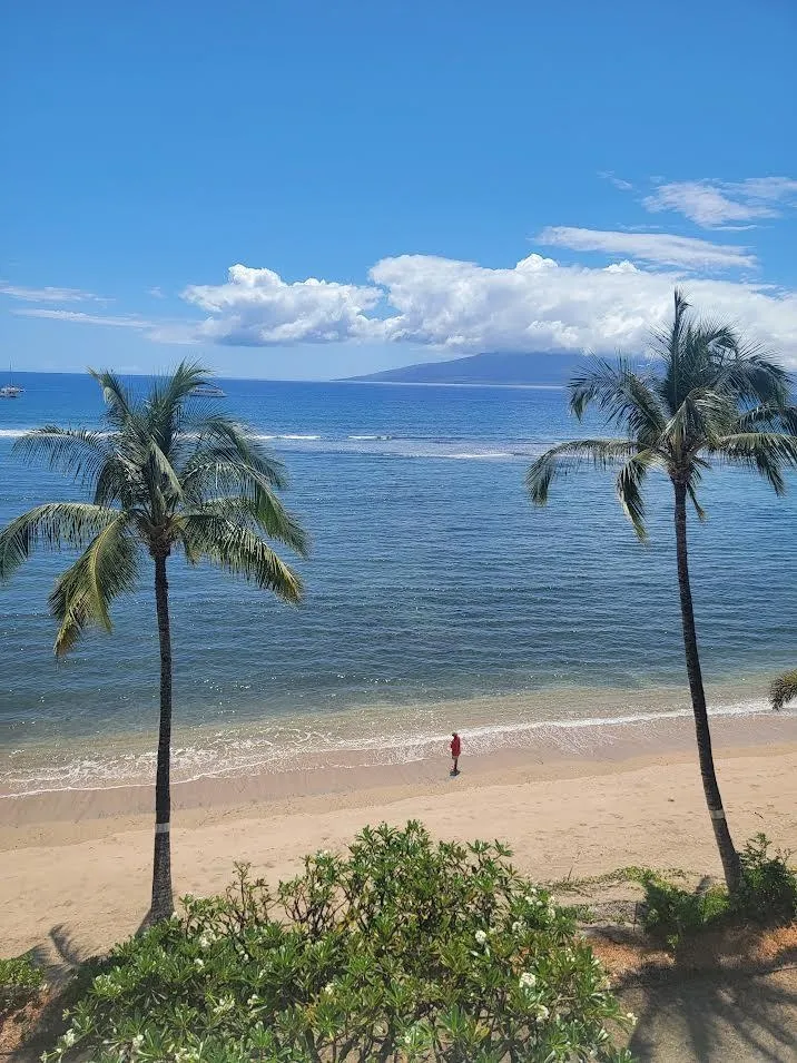 Lahaina, Hawaii 96761, United States, ,1 BathroomBathrooms,Residential,Active,109416