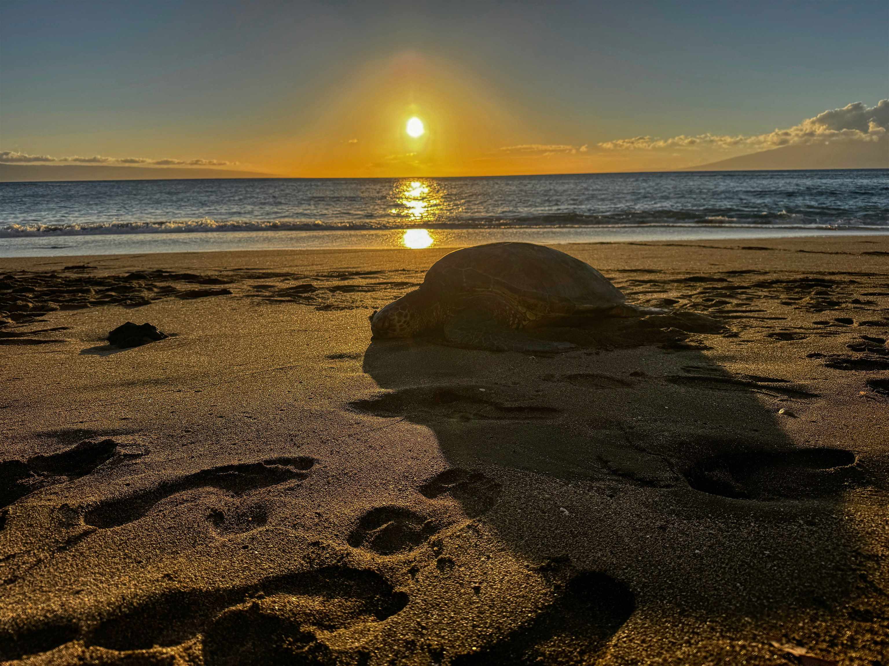 4435 Lower Honoapiilani 119