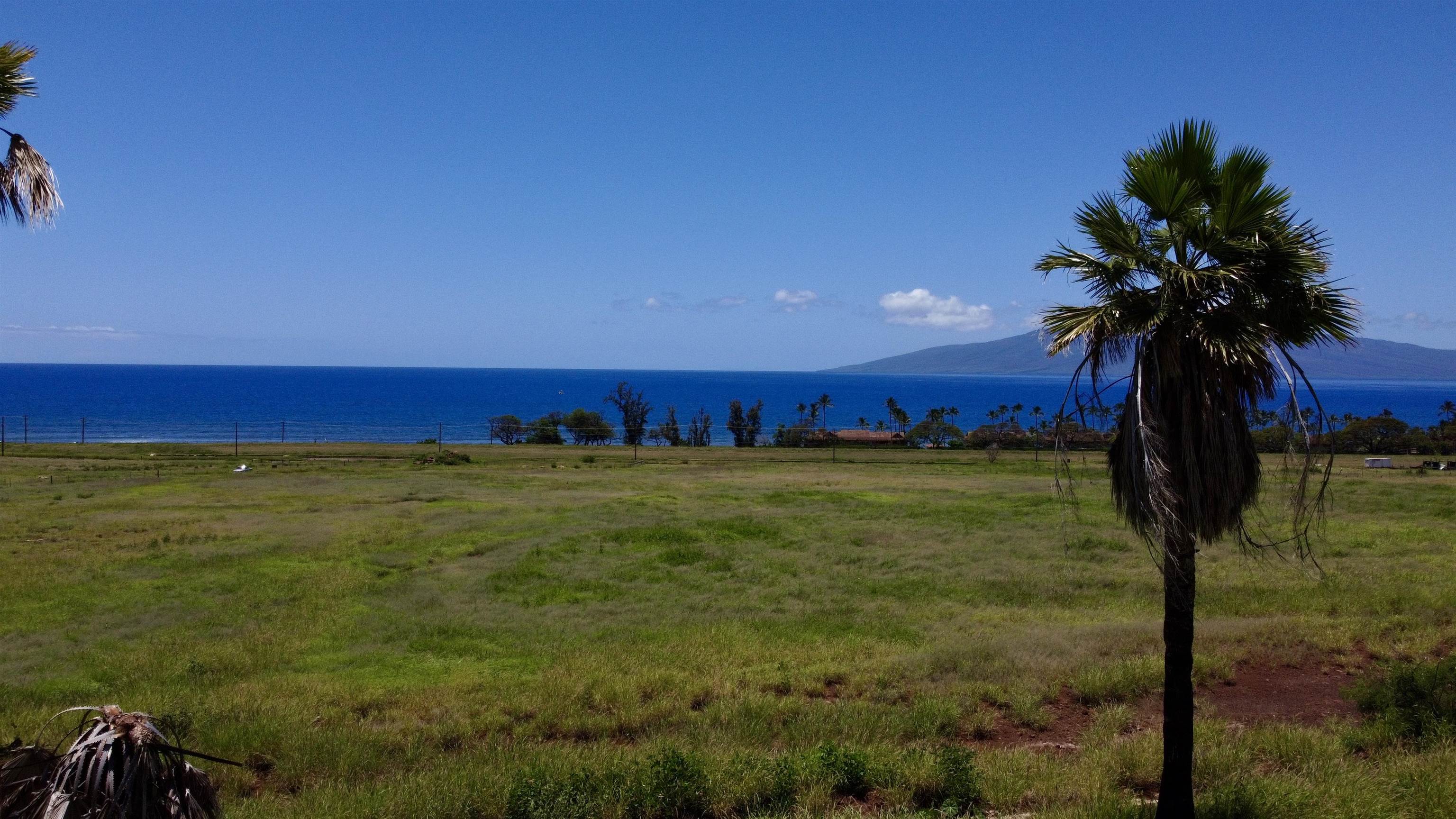 2020 Waianukole St 1