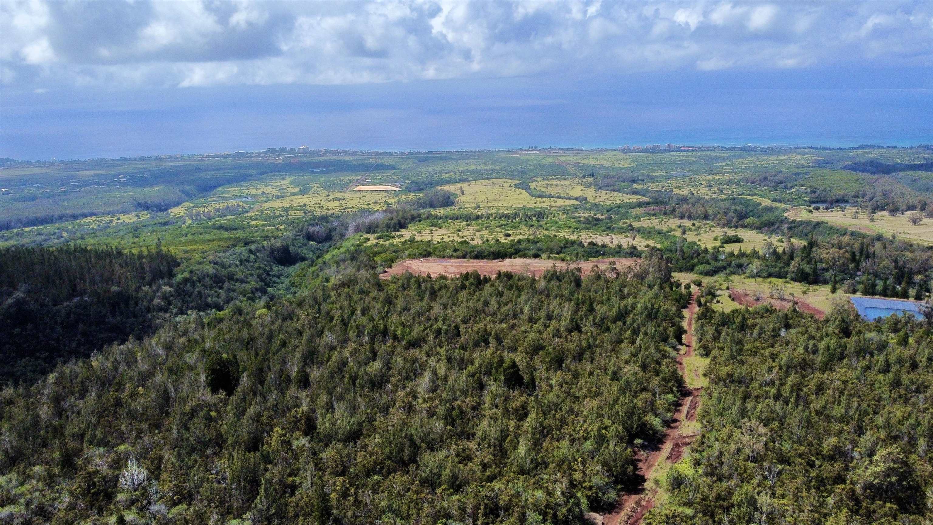 Mauka Of Honolua Ditch