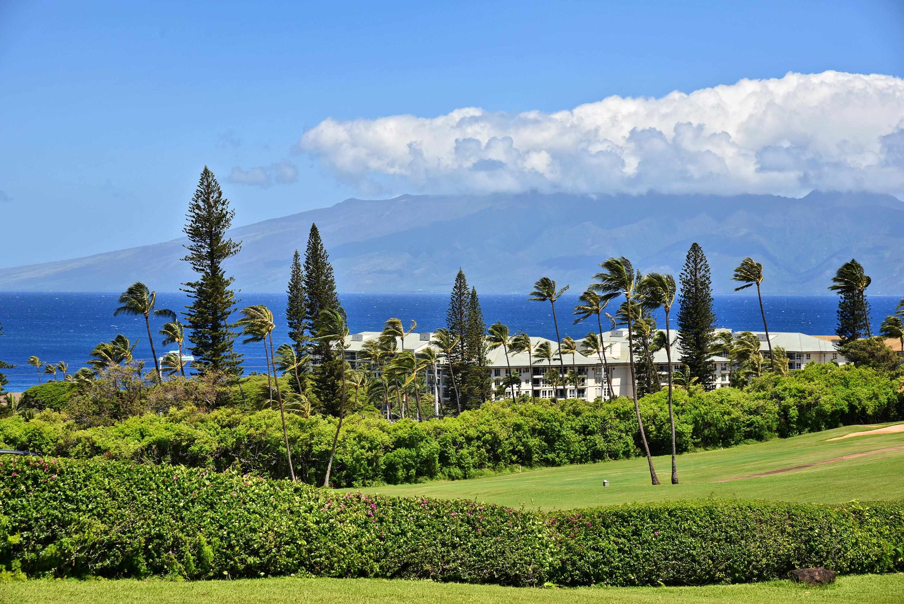 50 Puu Anoano St 603