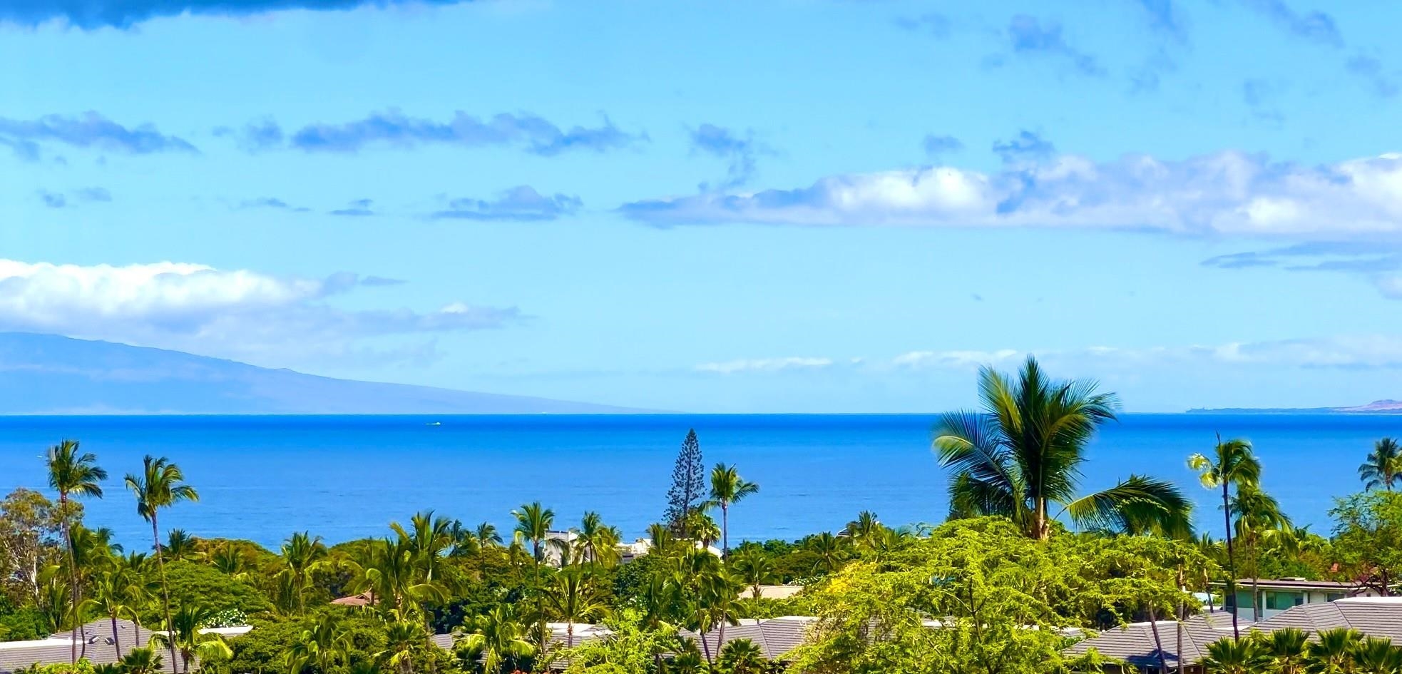161 Wailea Ike Pl C-203