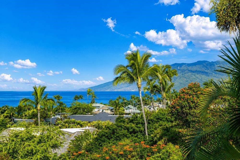 161 Wailea Ike Pl C-203