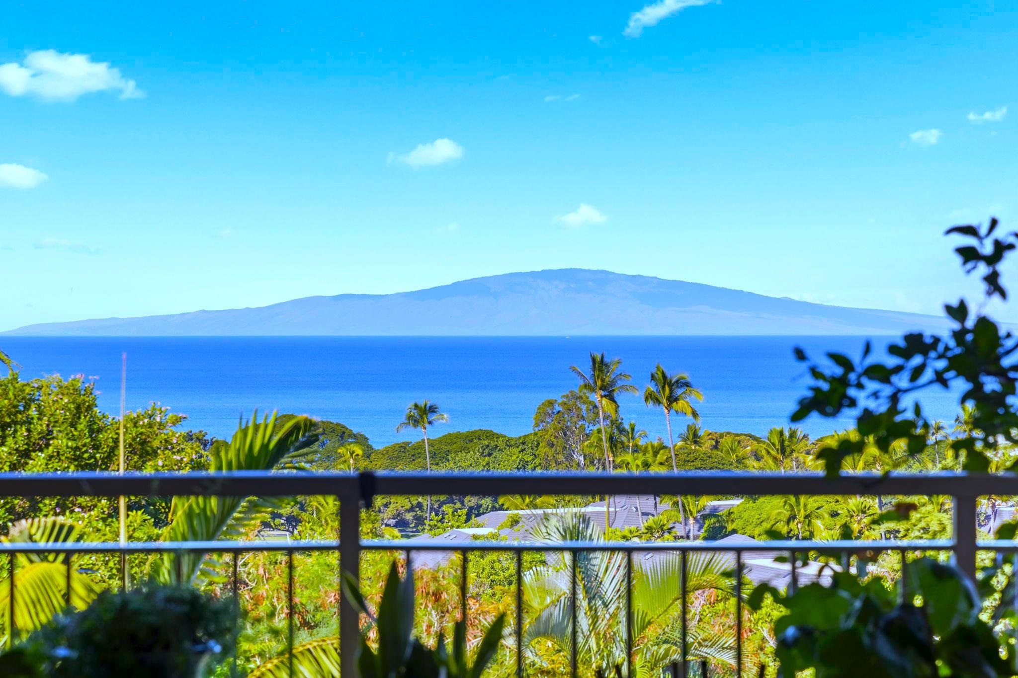 161 Wailea Ike Pl C-203