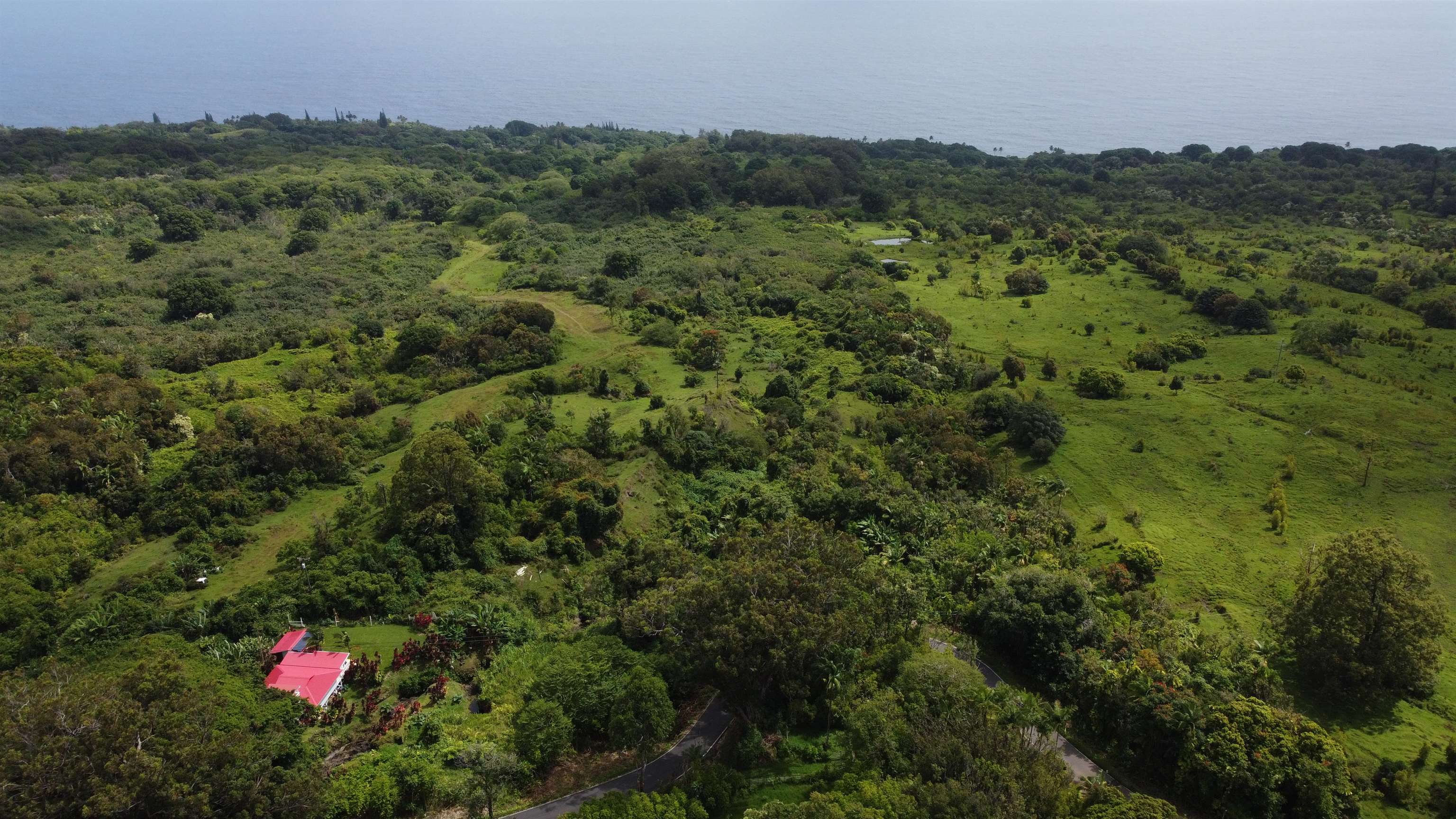 973 Hana Hwy