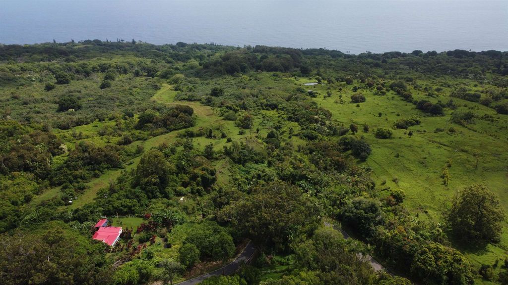 Photo of 973 Hana Hwy, Hana, HI 96713 (MLS # 406649)