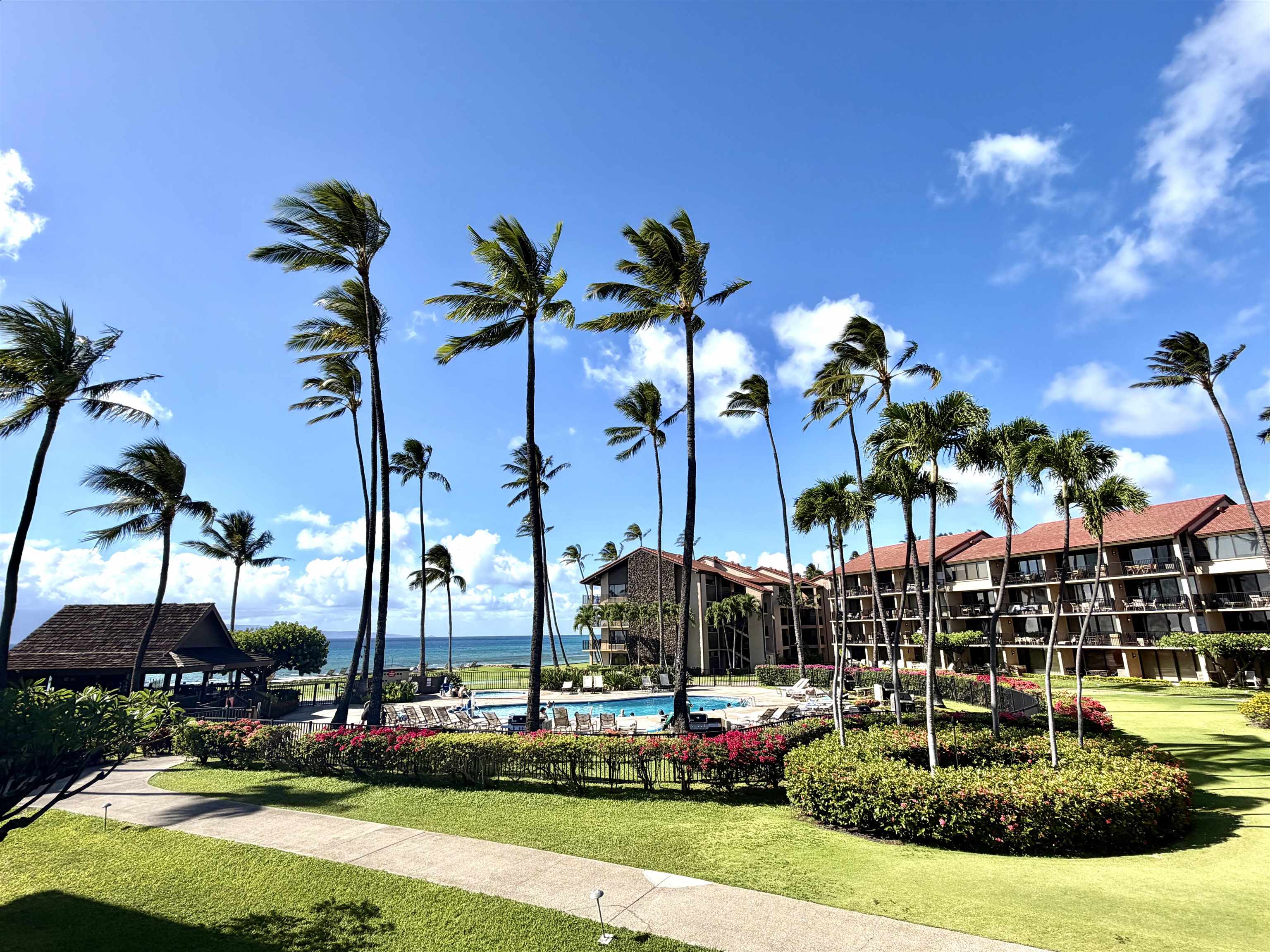 3543 Lower Honoapiilani Rd E-206