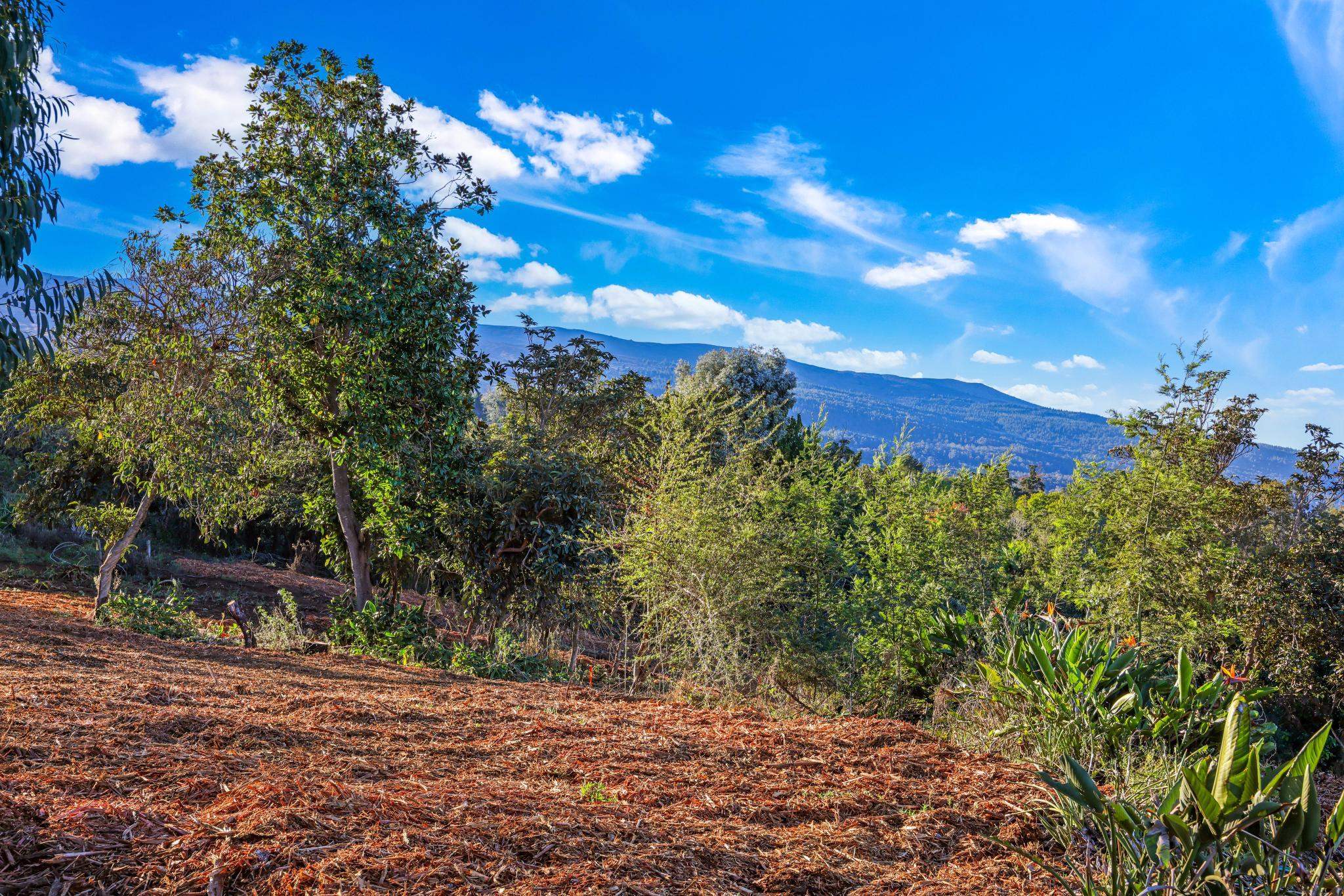 0 Haleakala Hwy Unit 4