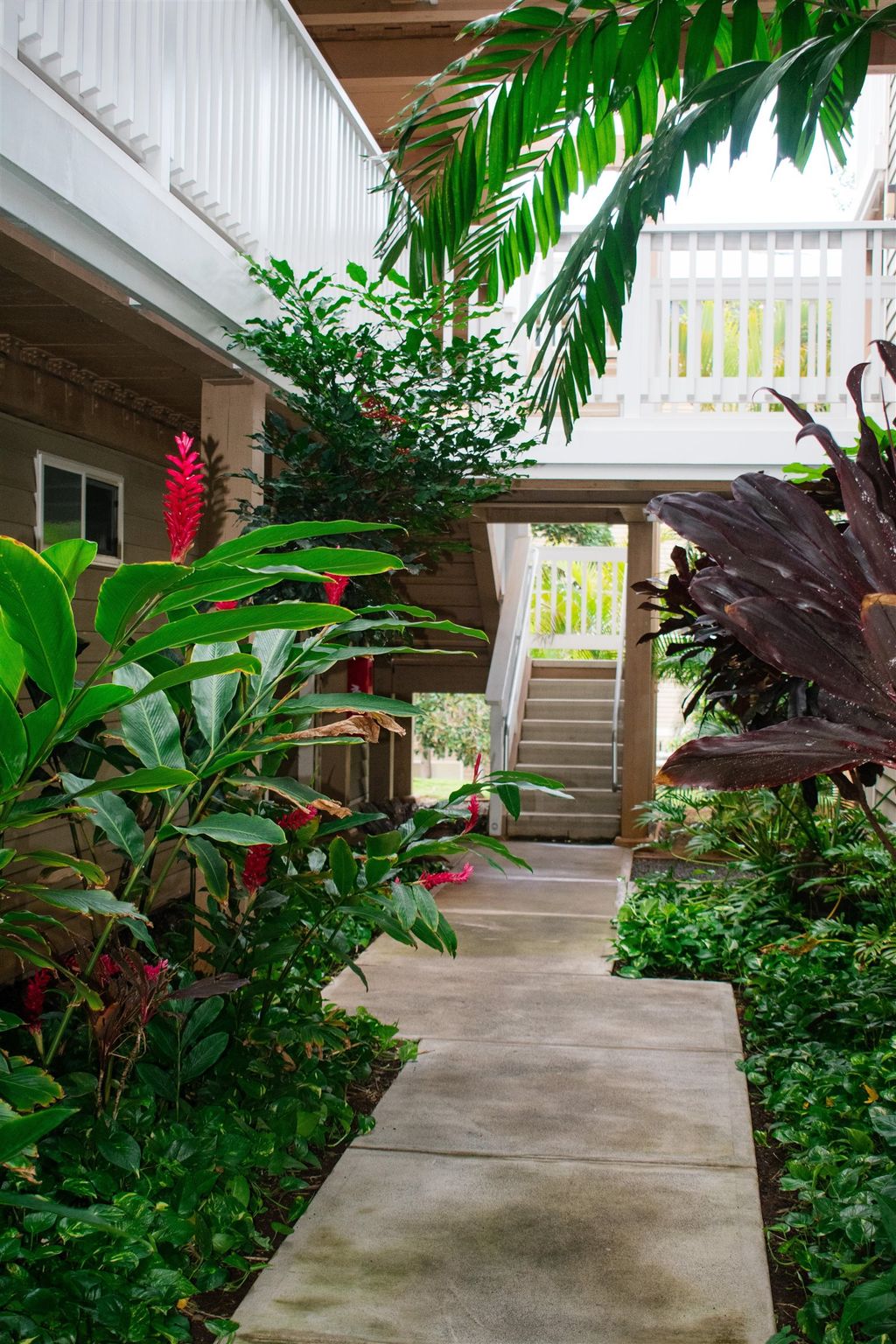 Photo of 64 Kunihi Ln #324, Kahului, HI 96732 (MLS # 407780)