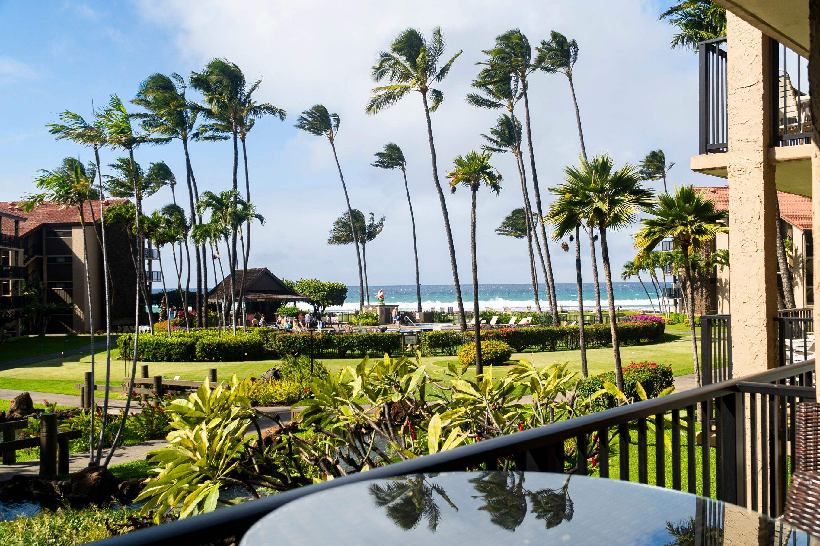 3543 Lower Honoapiilani Rd C204