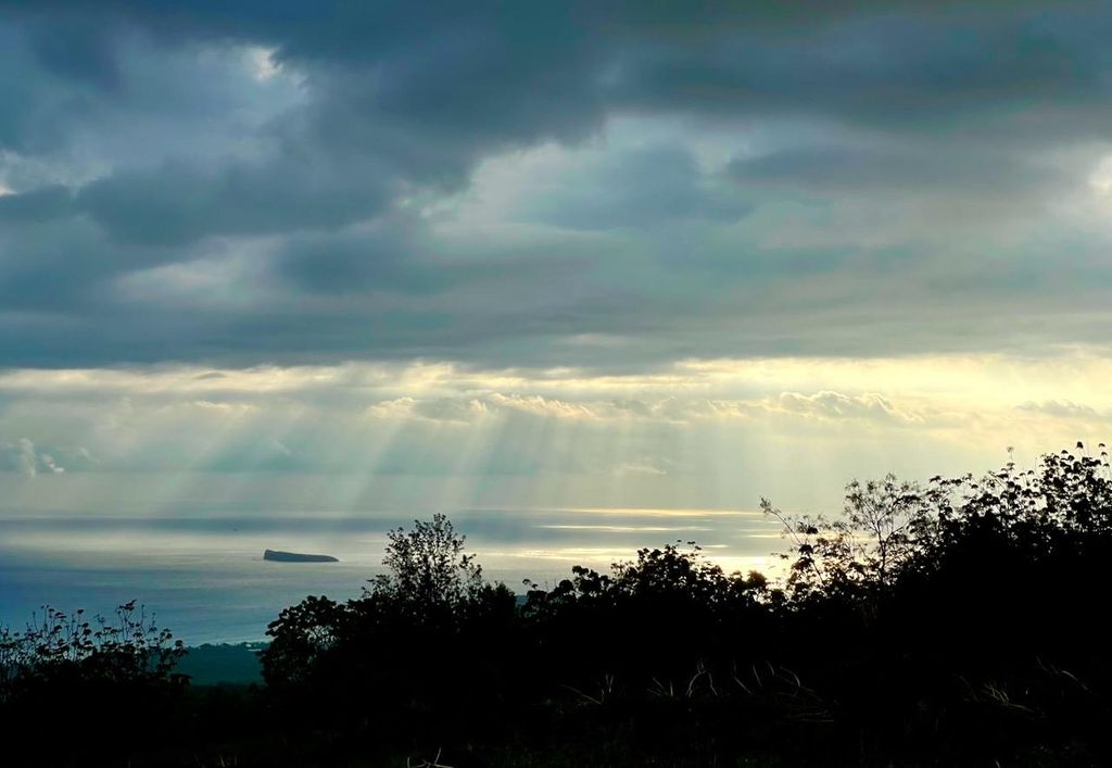 Photo of 0 Ulupalakua Rd, Kula, HI 96768 (MLS # 407554)