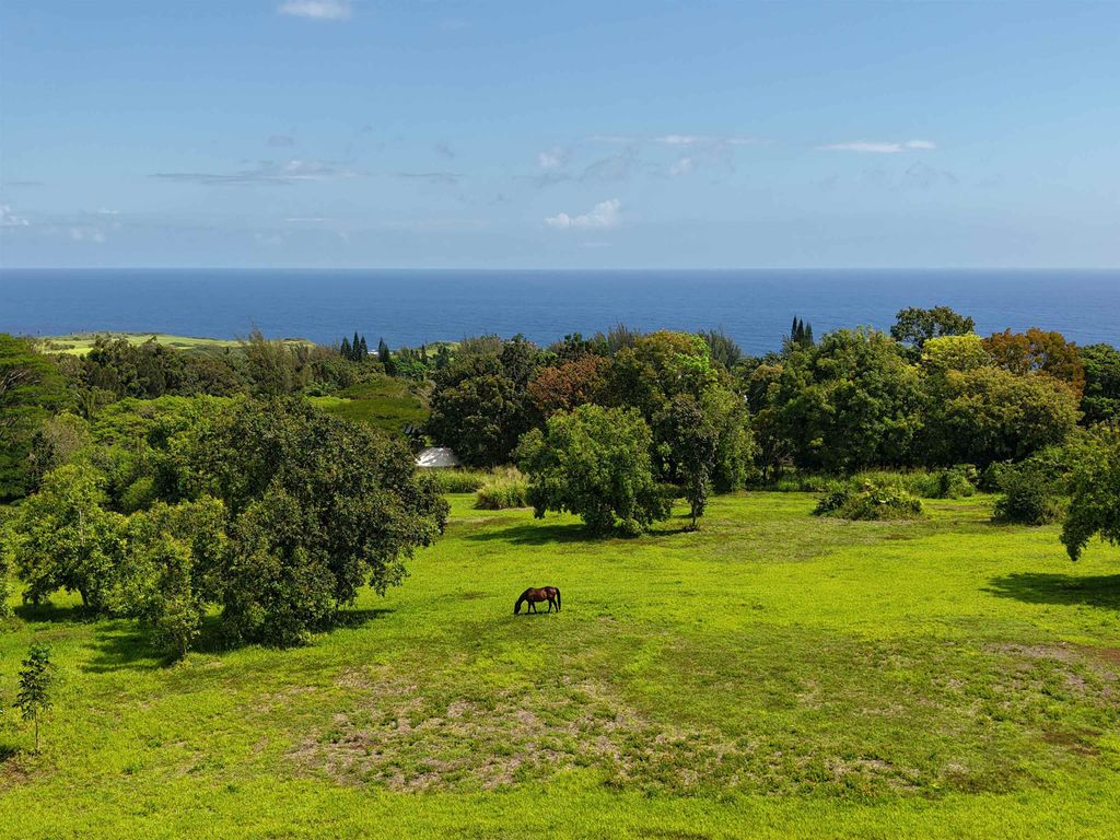 Photo of 155 Manawai Pl, Haiku, HI 96708 (MLS # 404803)