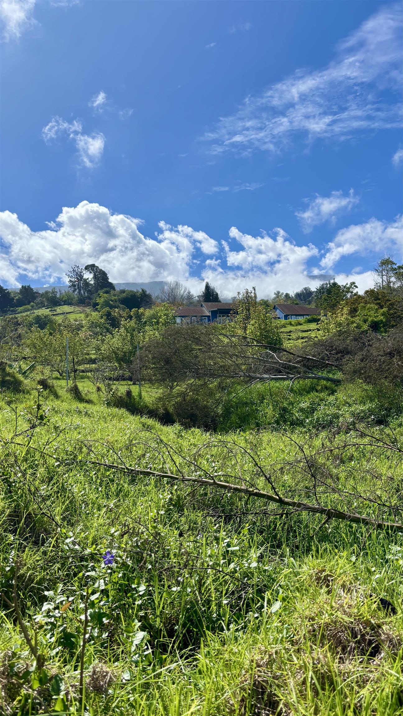 16255 Haleakala Hwy