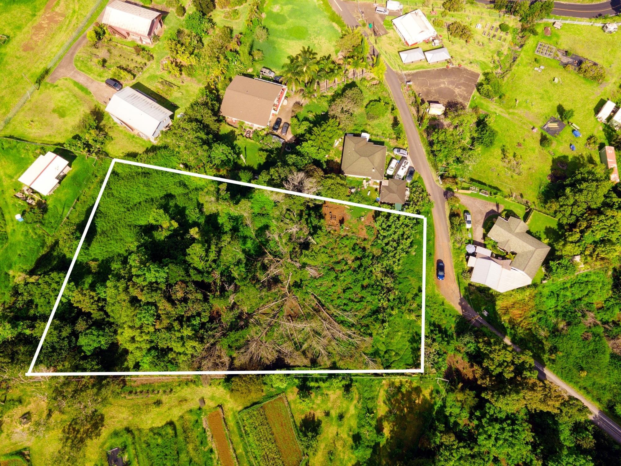16255 Haleakala Hwy