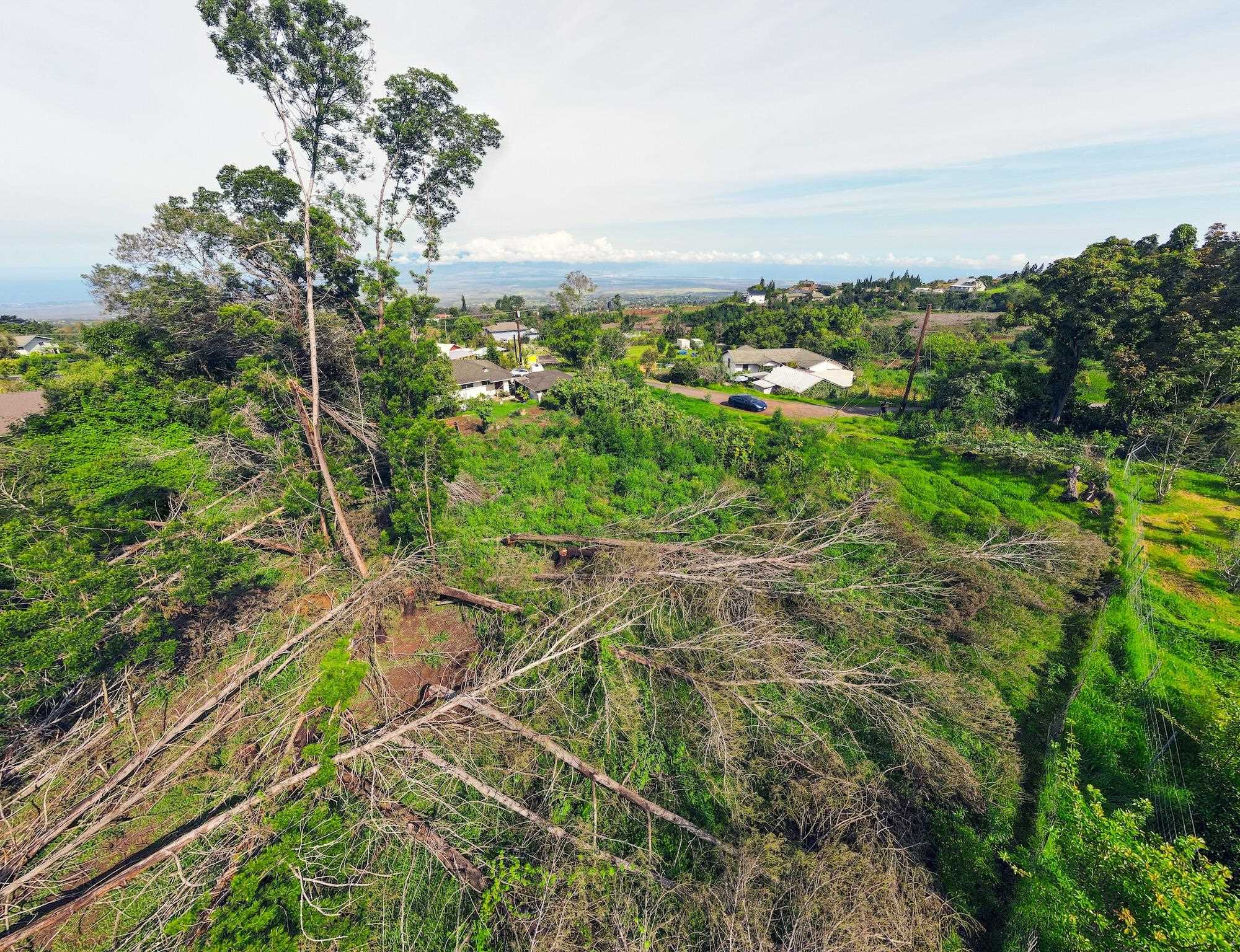 16255 Haleakala Hwy