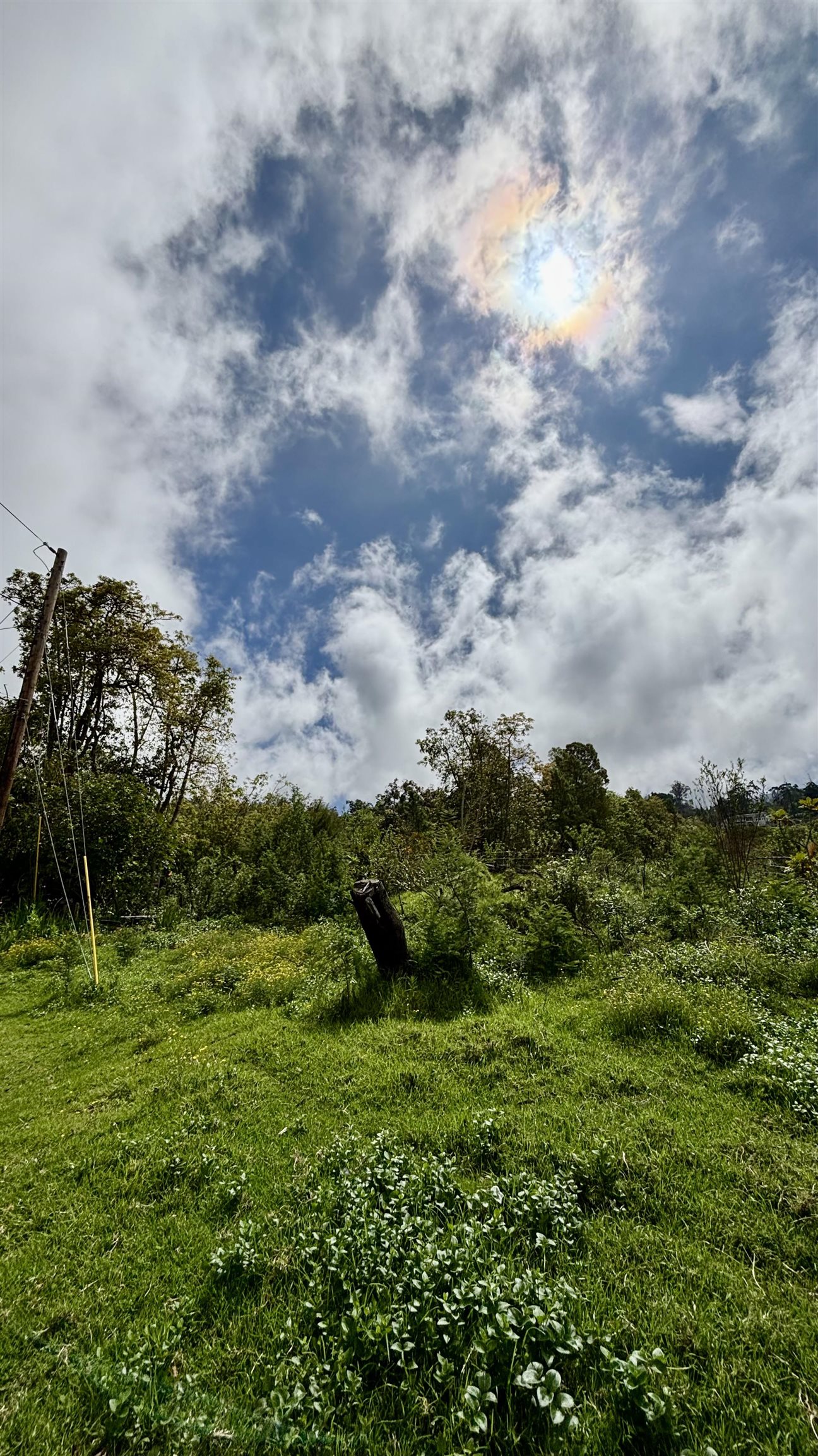 16255 Haleakala Hwy