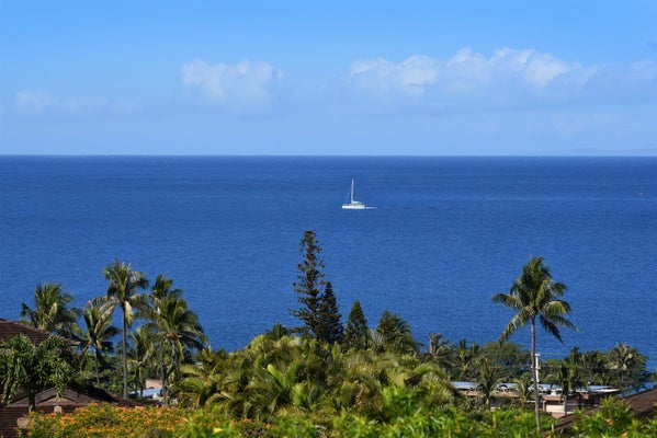 150 PUUKOLII RD APT 52, LAHAINA, HI 96761 - Image fe1964c1141b7a794caae36e43e026e7/3561287801