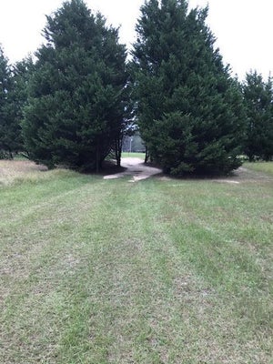 1562 ARLINE CHAPEL CHURCH RD, WRIGHTSVILLE, GA 31096 - Image 982ddbe3cc22ef952be2f2da121ca031/1279733437