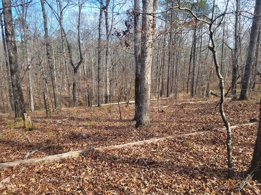AMARYLLIS DR, SPARTA, GA 31087 - Image af3ea965bd4667ea6fec0283f12c81c2/2030982187