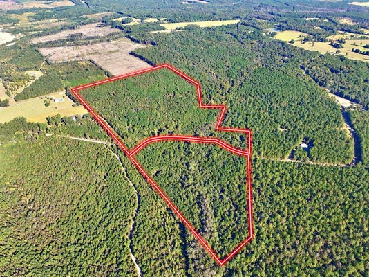 475 HOLLOWAY RAY RD, MC INTYRE, GA 31054 - Image a528df408f517643e3f73fdbbe8e037f/3630516753