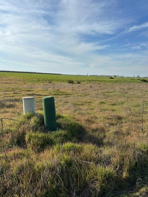 8886 LILLY WAY, HANFORD, CA 93230 - Image efcba8a2842921541393ad0caa13f4c8/2575343916