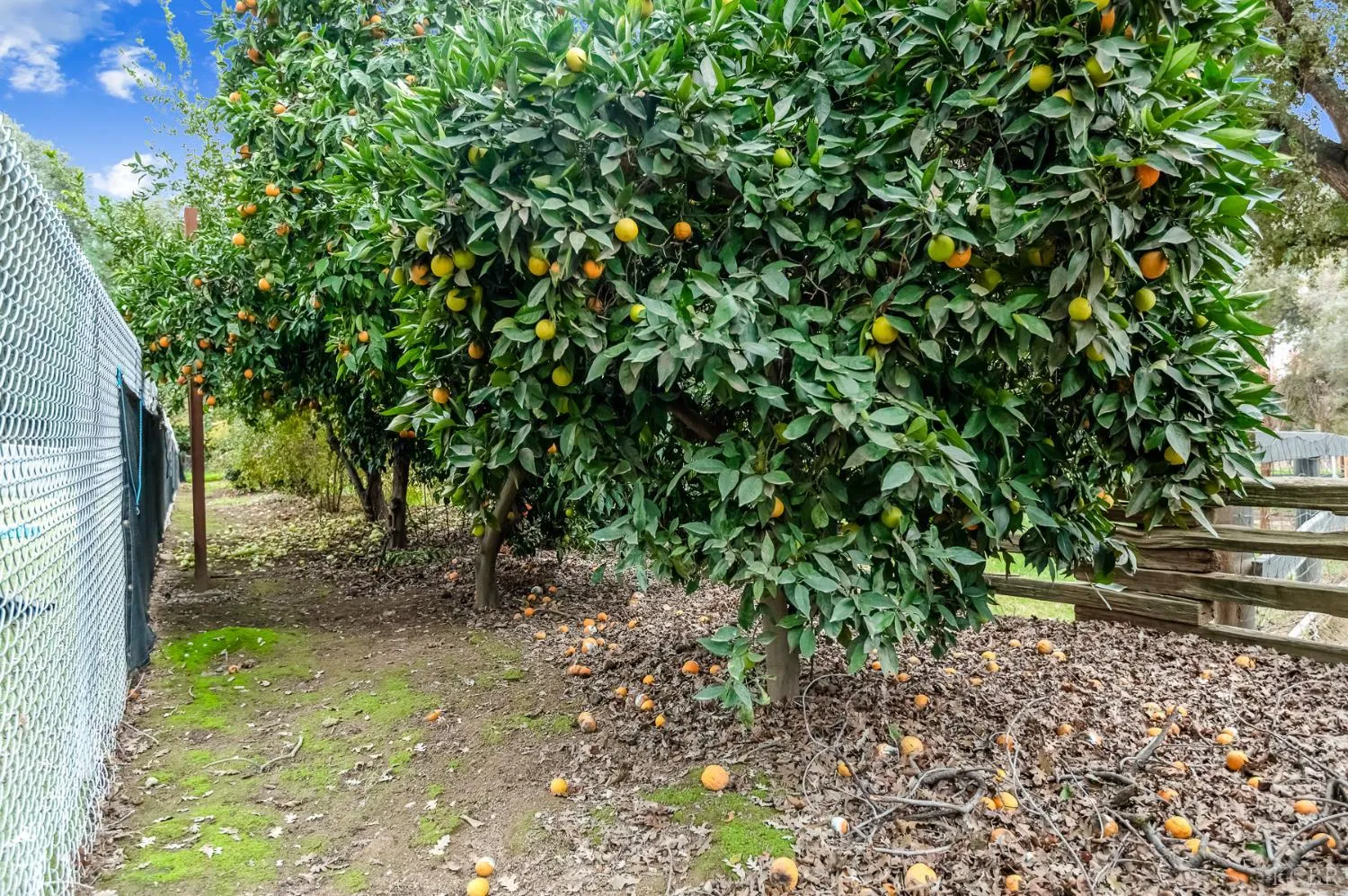 Visalia, California 93292, United States, 2 Bedrooms Bedrooms, ,1 BathroomBathrooms,Residential,Active,255555