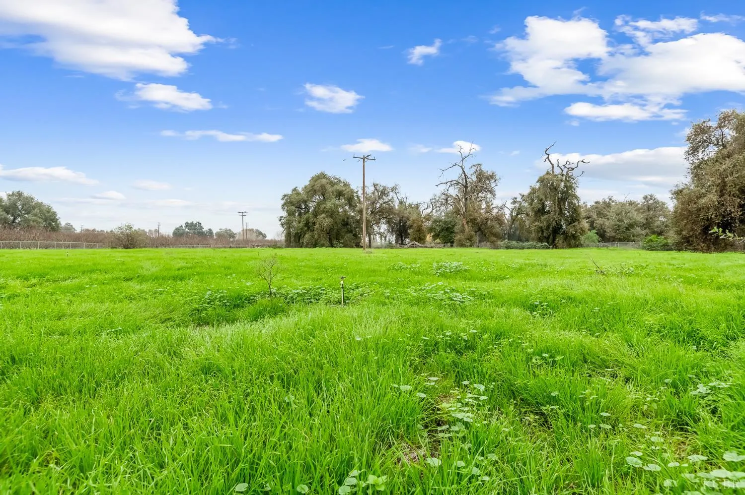 Visalia, California 93292, United States, 2 Bedrooms Bedrooms, ,1 BathroomBathrooms,Residential,Active,255555