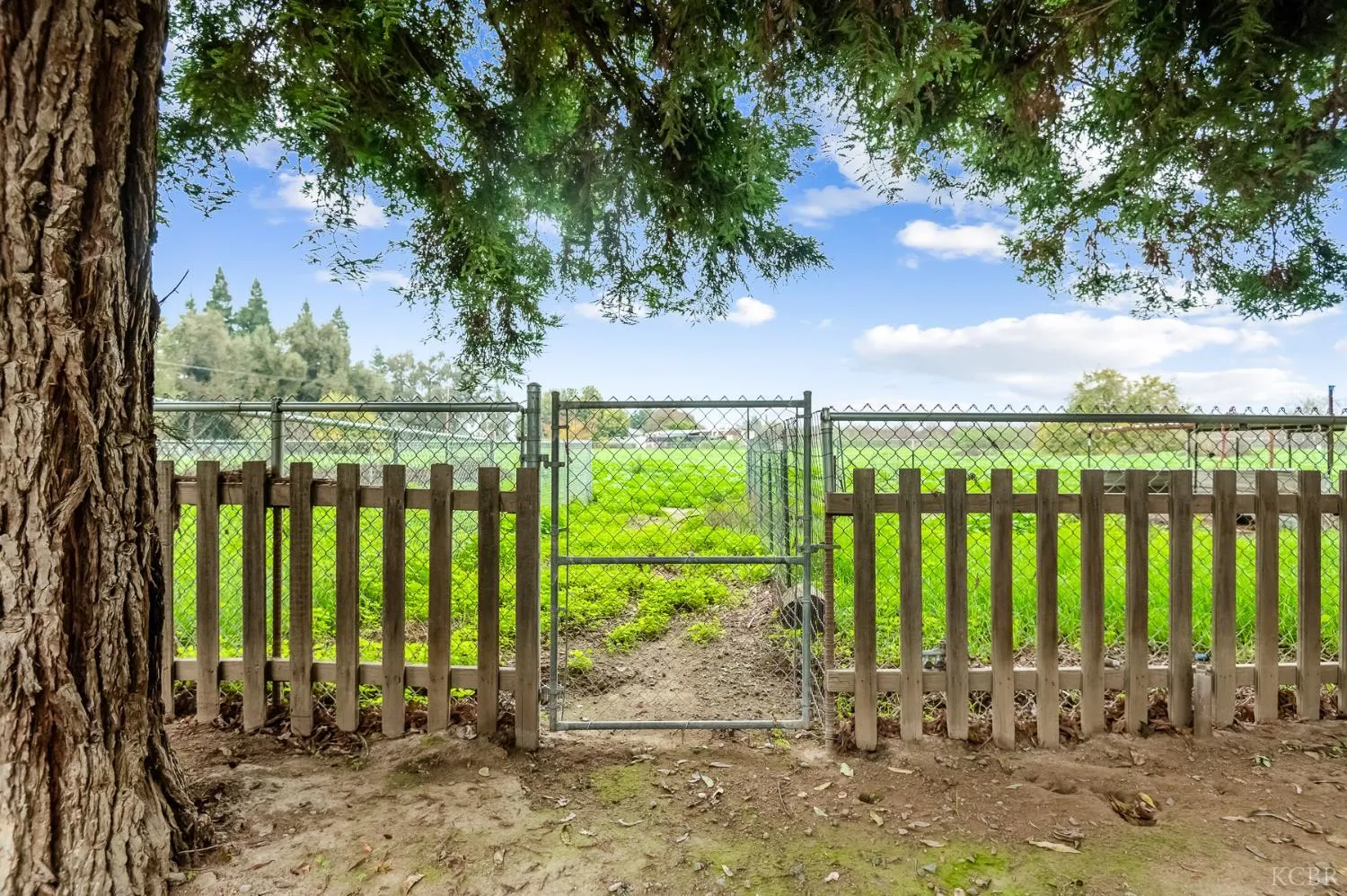 Visalia, California 93292, United States, 2 Bedrooms Bedrooms, ,1 BathroomBathrooms,Residential,Active,255555