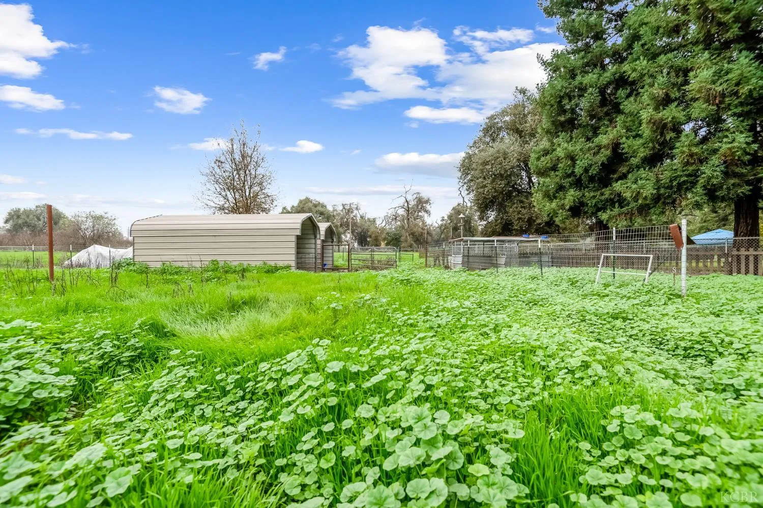 Visalia, California 93292, United States, 2 Bedrooms Bedrooms, ,1 BathroomBathrooms,Residential,Active,255555