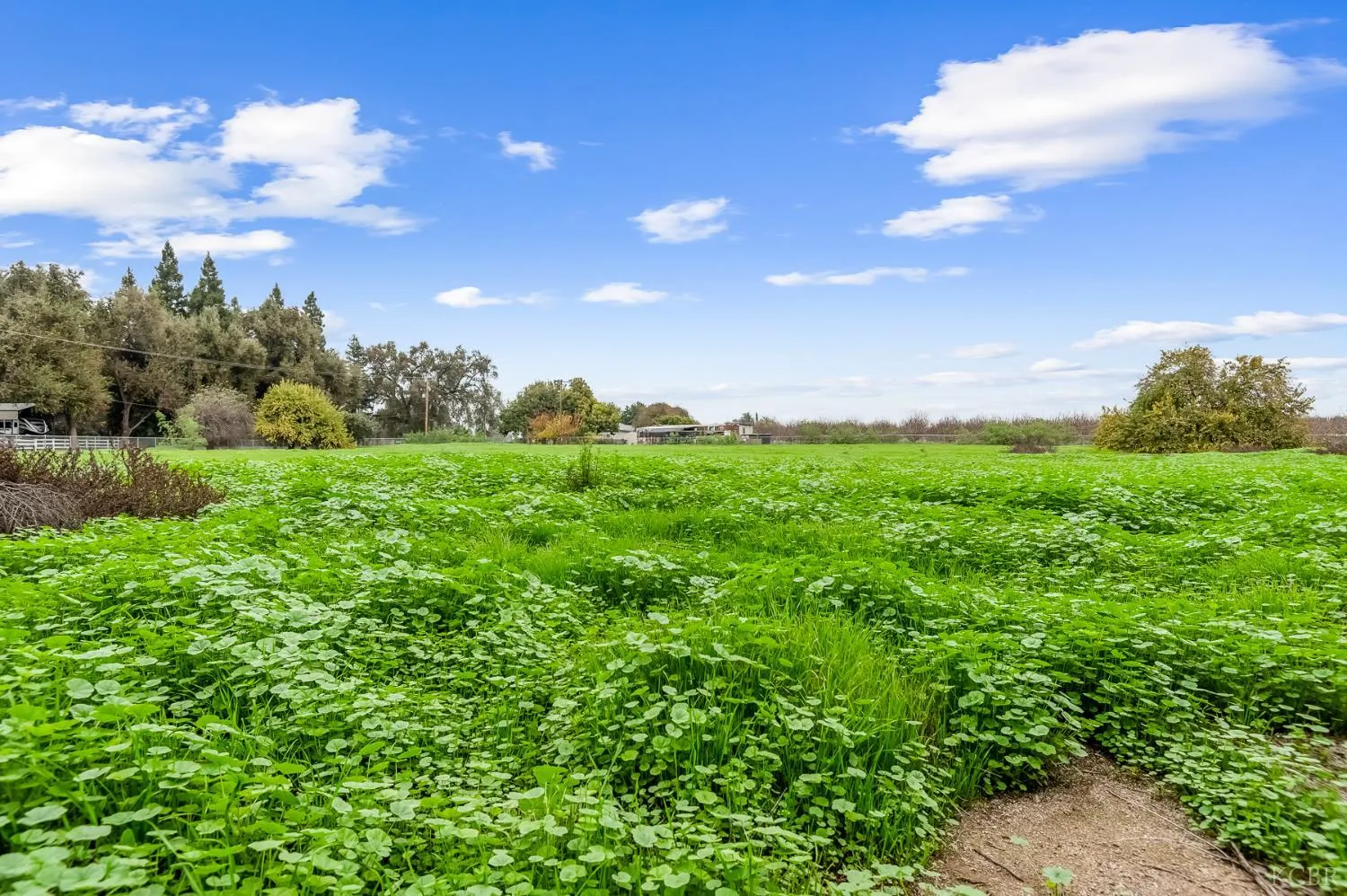 Visalia, California 93292, United States, 2 Bedrooms Bedrooms, ,1 BathroomBathrooms,Residential,Active,255555