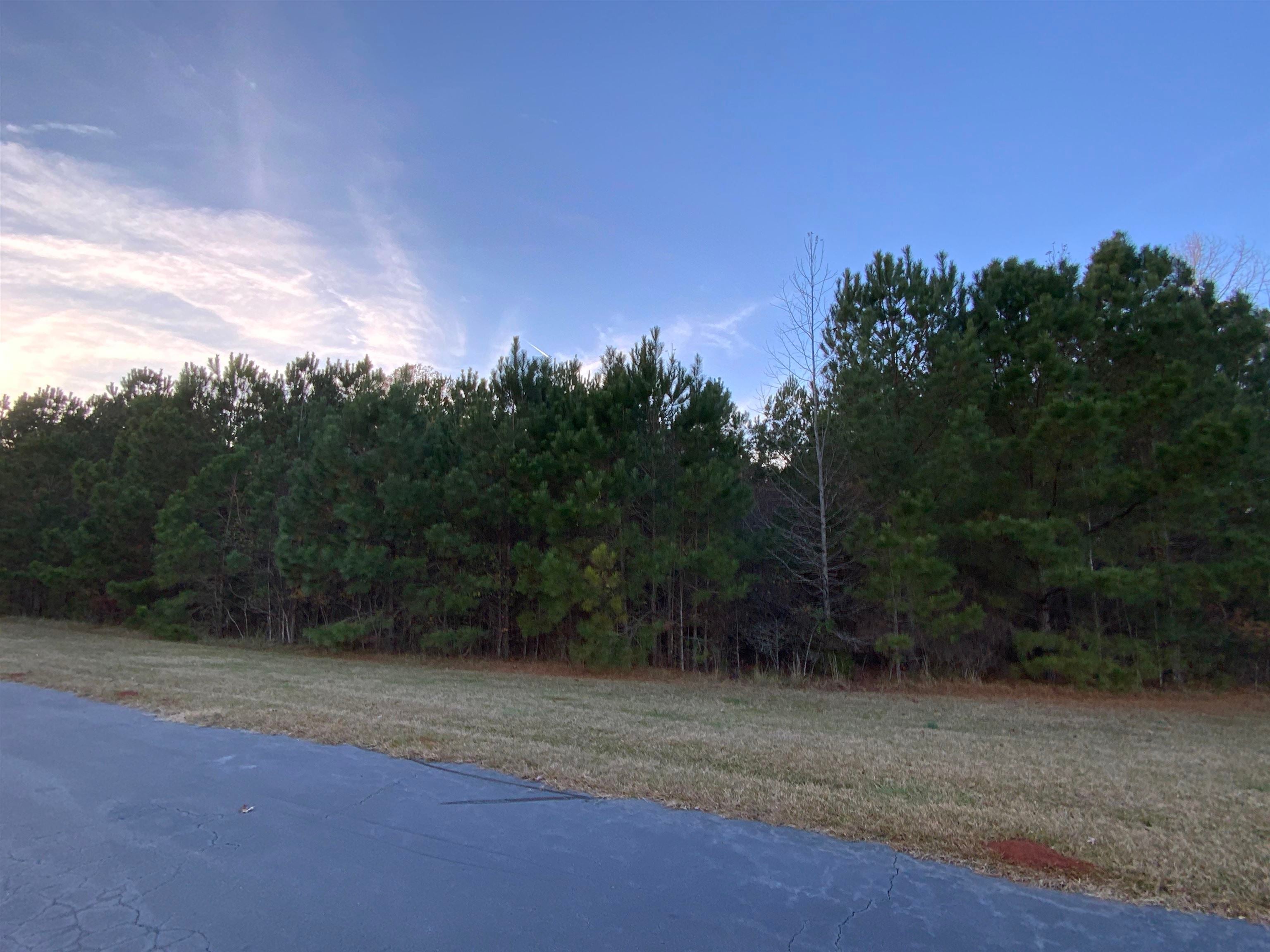 100 PINE BLOOM WAY