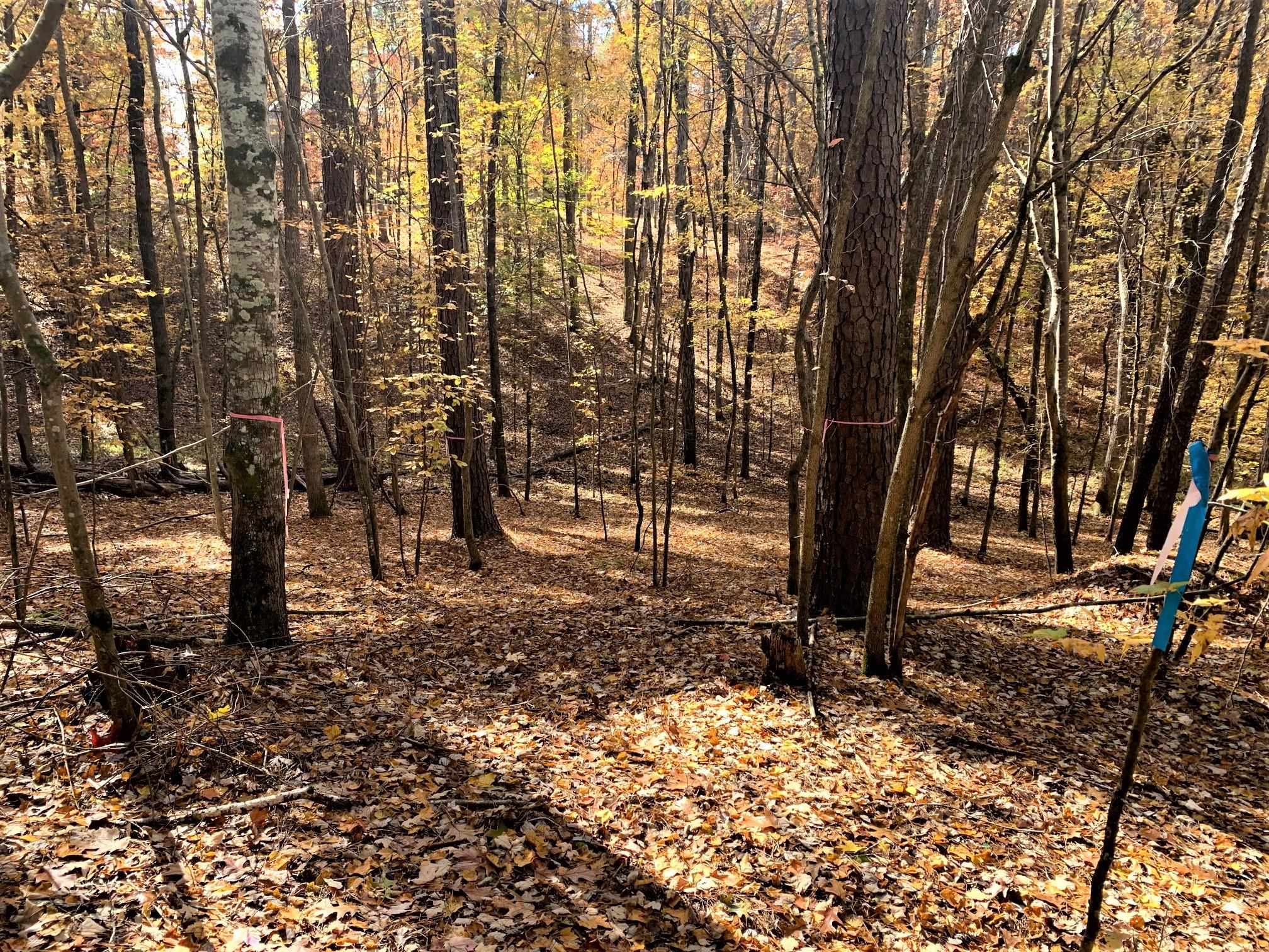 1520 SNUG HARBOR DRIVE