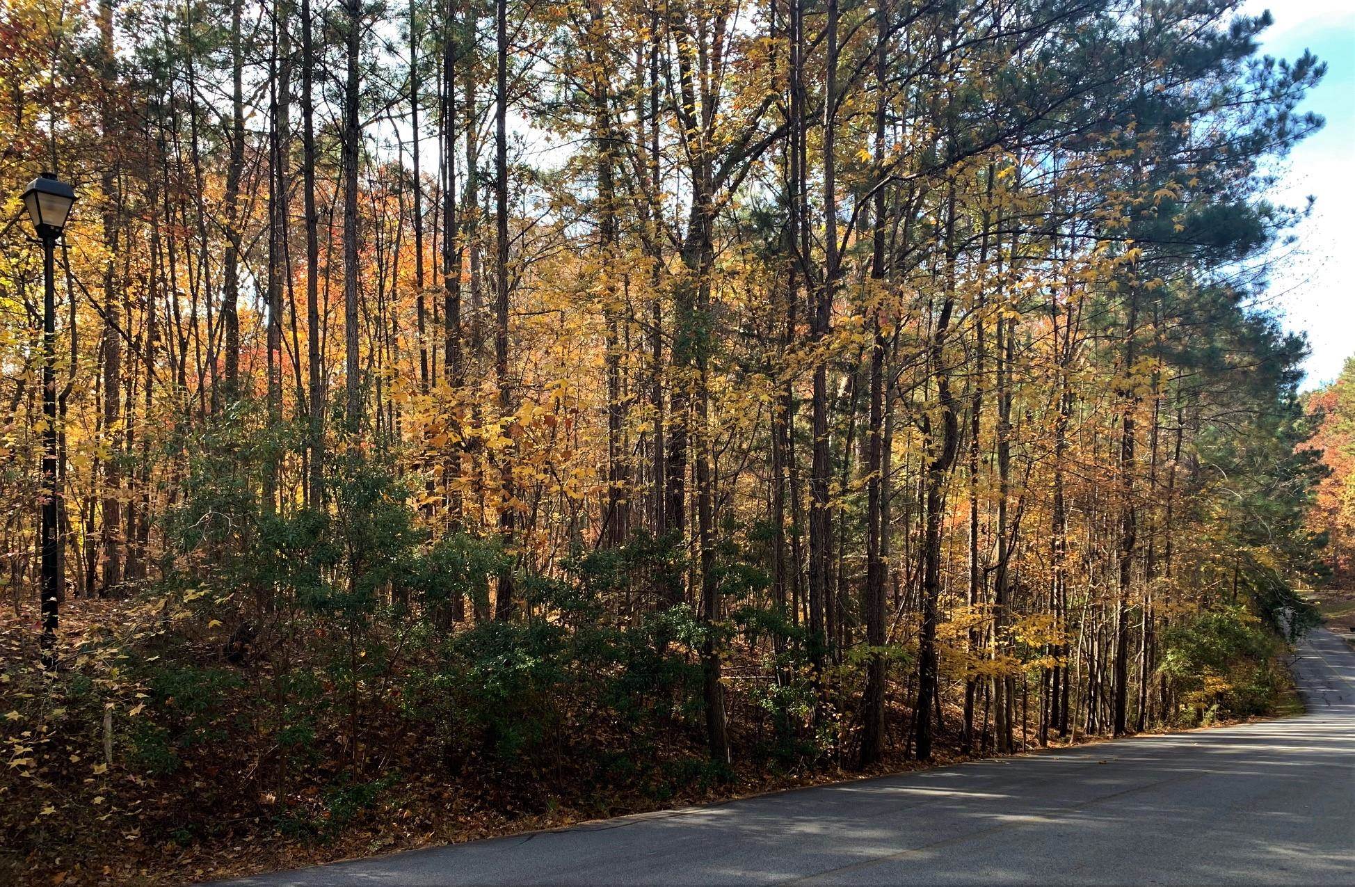 1520 SNUG HARBOR DRIVE