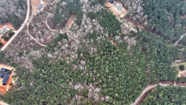 COCHRAN RD, MADISON, GA 30650 - Image 33d7288b4d5dd12e5febf35a32dd053f/1028733217