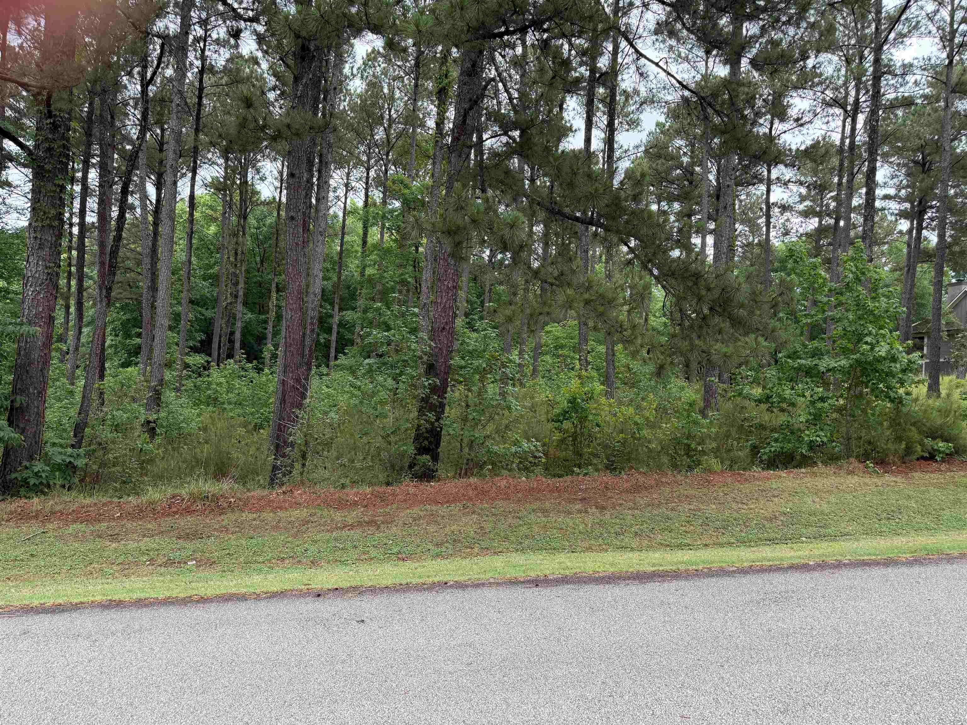 1110 LONG COVE DRIVE