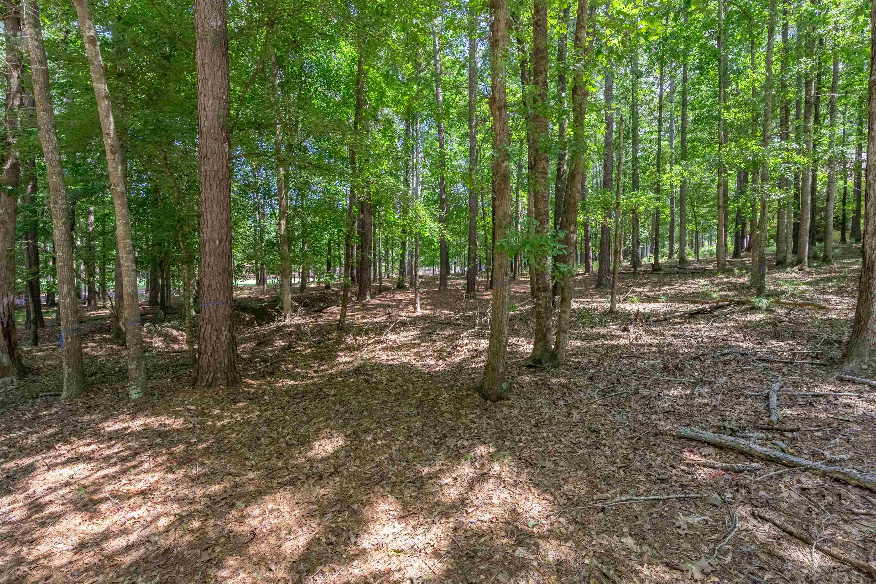 2721 PARROTTS POINTE ROAD