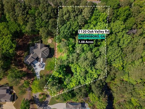 1120 OAK VALLEY ROAD Greensboro GA 30642