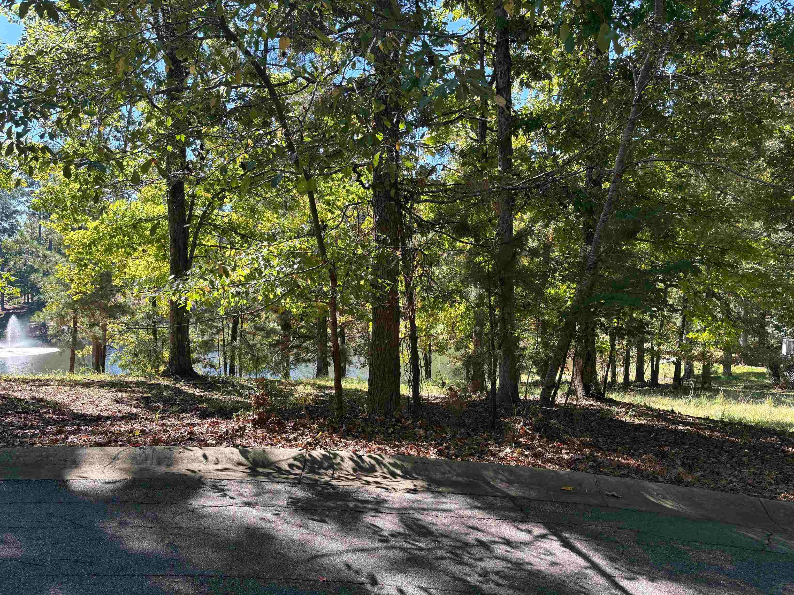 1040 MASHIE DRIVE